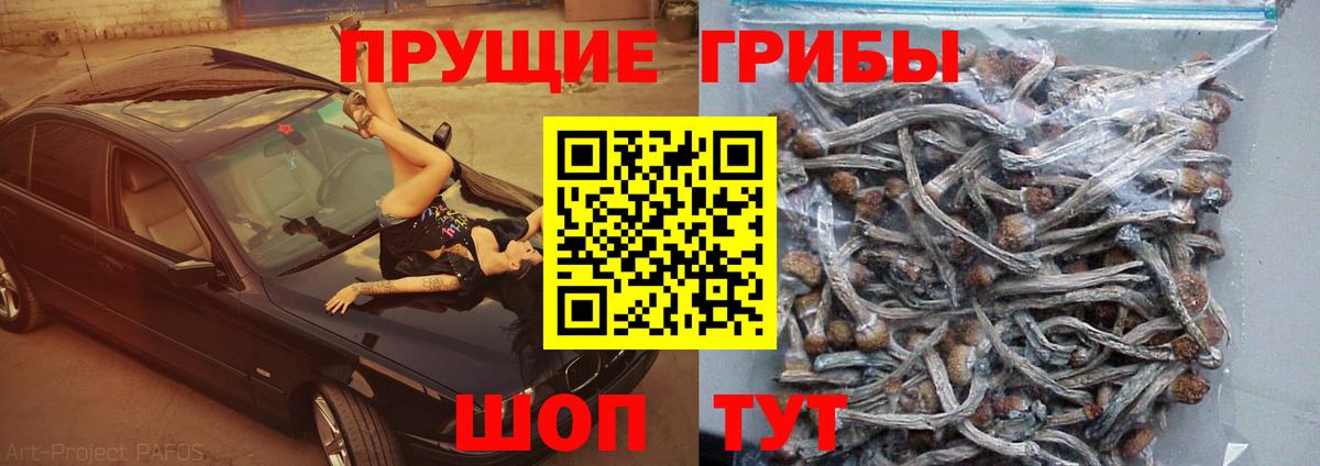 Азнакаево  Псилоцибиновые грибы Psilocybe  Вход с VPN 